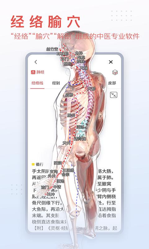 3Dbody解剖app下载_3Dbody解剖安卓手机版下载