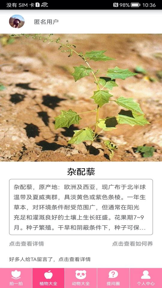 拍照识物app下载_拍照识物安卓手机版下载