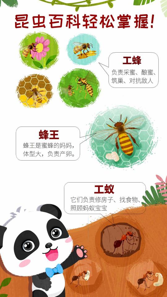 奇妙昆虫世界app下载_奇妙昆虫世界安卓手机版下载