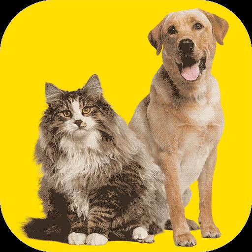 人猫人狗交流器app下载_人猫人狗交流器安卓手机版下载