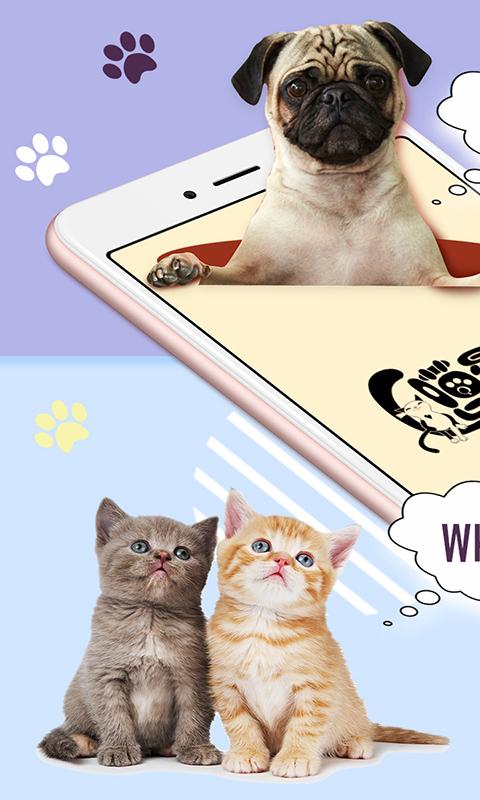 猫狗语翻译器app下载_猫狗语翻译器安卓手机版下载