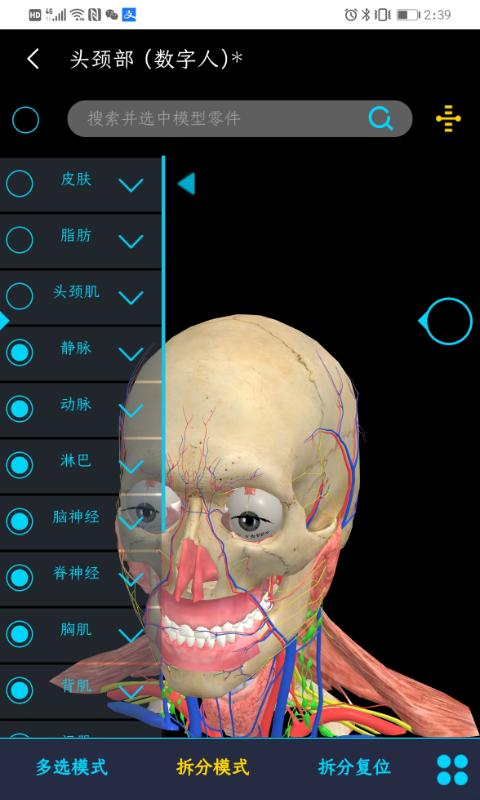 医维度解剖app下载_医维度解剖安卓手机版下载