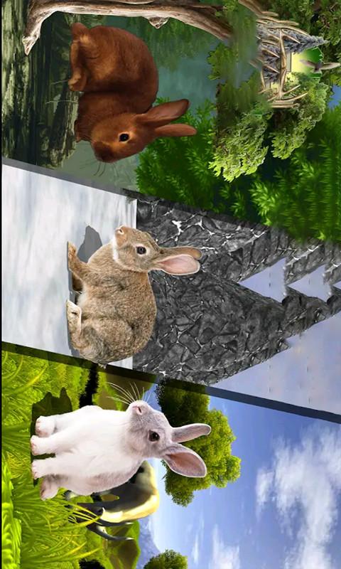 精英猎杀野兔app下载_精英猎杀野兔安卓手机版下载