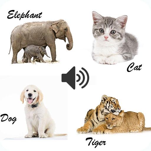 动物和声音app下载_动物和声音安卓手机版下载