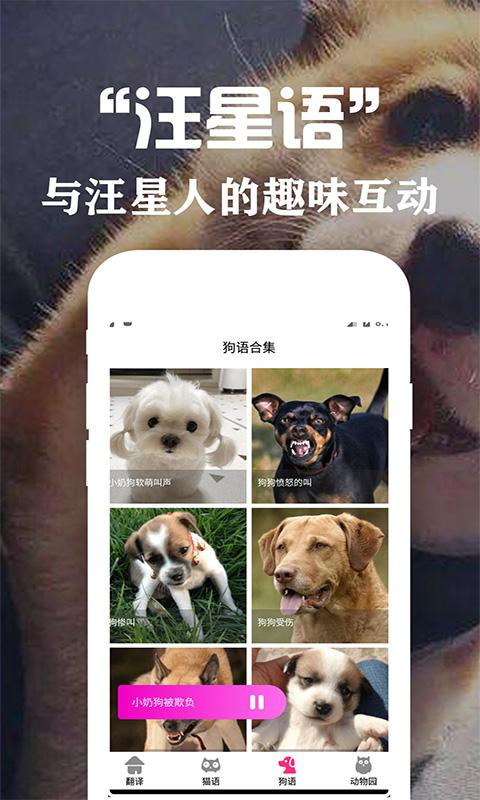 狗语翻译交流器app下载_狗语翻译交流器安卓手机版下载