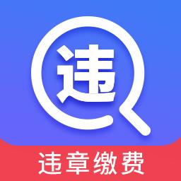 驾车违章查询app下载_驾车违章查询安卓手机版下载