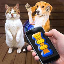我的猫猫狗狗翻译器app下载_我的猫猫狗狗翻译器安卓手机版下载