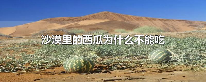 为什么沙漠里面的西瓜不能吃