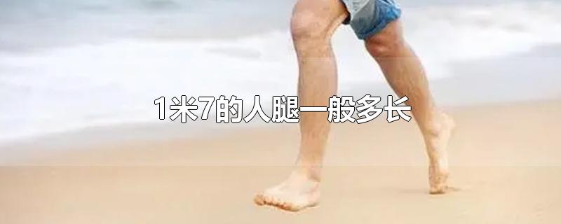 人的腿最长可以长到多少米