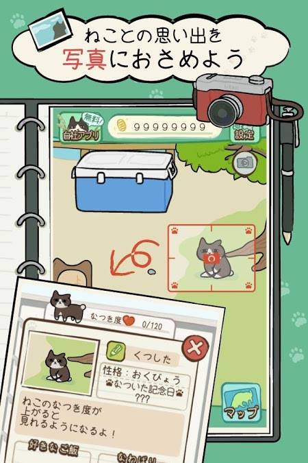 猫咪巡回app_猫咪巡回app最新官方版 V1.0.8.2下载 _猫咪巡回app手机版