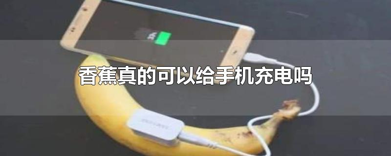 香蕉能给手机充电吗实验结果