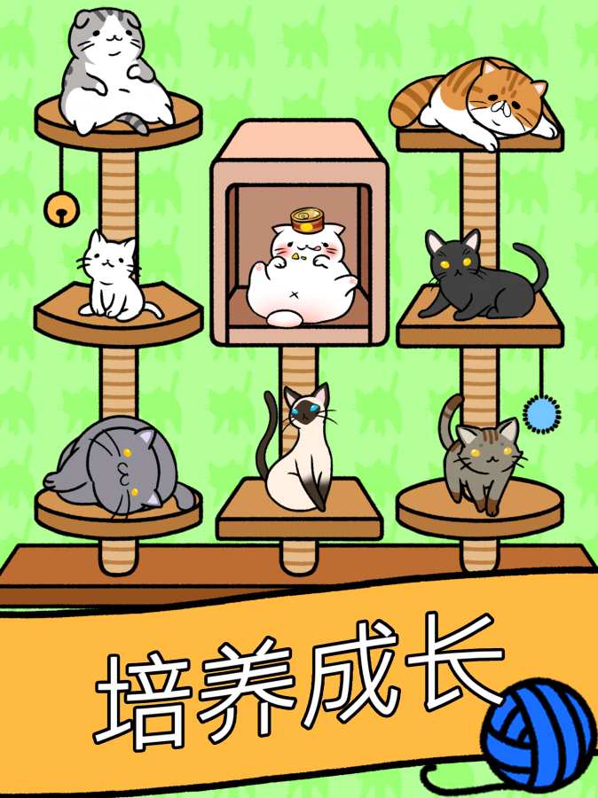 猫咪公寓app_猫咪公寓app下载_猫咪公寓app安卓版