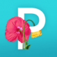 picolla app下载 苹果版v1.3.1