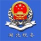 湖北省税务局手机App下载