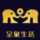 呈象联盟app下载_呈象联盟app下载中文版下载_呈象联盟app下载安卓版下载V1.0