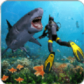 狩猎食人鲨手机版-狩猎食人鲨app下载下载 v1.3  v1.3