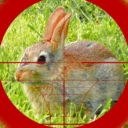 猎兔狙击手手机版