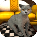 猫模拟器安卓版-猫模拟器中文版下载 v0.1
