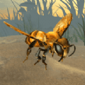 大黄蜂进化史最新版-大黄蜂进化史游戏下载 v1.0.2  v1.0.2