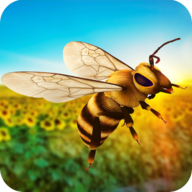 黄蜂生活游戏下载_黄蜂生活APP版下载v2.2  v2.2