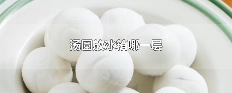 冰箱里的汤圆