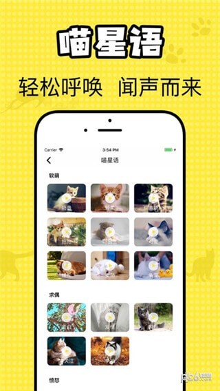 猫咪翻译官下载 苹果版v1.0_猫咪翻译官下载 苹果版v1.0安卓手机版免费下载