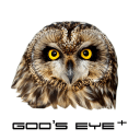 God's eye +