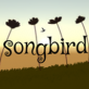 唱歌的鸟ios版下载_唱歌的鸟ios版下载手机版_唱歌的鸟ios版下载官网下载手机版  v1.1