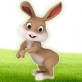 3D兔兔快跑下载