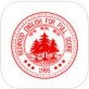 红杉树智能英语app手机版下载