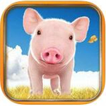 翻滚吧小猪游戏下载_翻滚吧小猪游戏下载安卓手机版免费下载_翻滚吧小猪游戏下载ios版  2.0