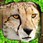 3d模拟豹子游戏下载