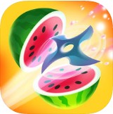 Fruit Master游戏下载_Fruit Master游戏下载中文版下载