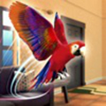 鹦鹉模拟器手机游戏下载_鹦鹉模拟器手机游戏下载ios版下载_鹦鹉模拟器手机游戏下载iOS游戏下载  2.0