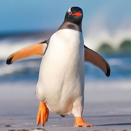 企鹅模拟器:北极海滩生存下载