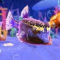 鱼缸模拟器游戏下载