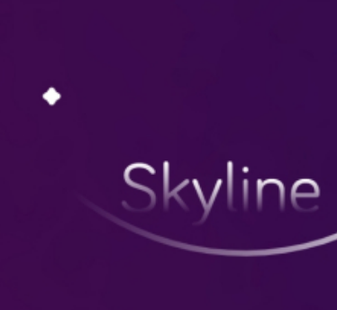 skyline switch模拟器下载|skyline模拟器下载v0.3  2.0