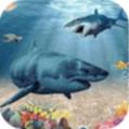 深海鲨鱼养殖游戏