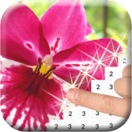 花朵着色游戏下载_花朵着色游戏下载iOS游戏下载_花朵着色游戏下载中文版  2.0