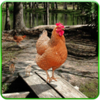 甜鸡模拟器手机版_甜鸡模拟器手机版官网下载手机版_甜鸡模拟器手机版app下载