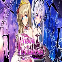 监狱公主Prison Princess游戏|监狱公主手机版中文版