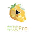 草媒Pro挖矿赚钱