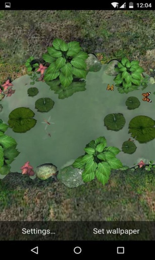 3D池塘小景-梦象动态壁纸app_3D池塘小景-梦象动态壁纸app中文版下载