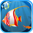 鱼缸app