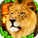 狮子模拟器app_狮子模拟器app官方版_狮子模拟器app中文版  2.0