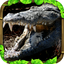 鳄鱼模拟器app_鳄鱼模拟器app电脑版下载_鳄鱼模拟器app安卓版  2.0