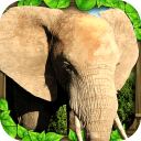 大象模拟器app