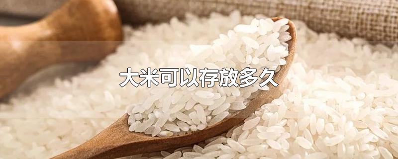 散装大米可以存放多久