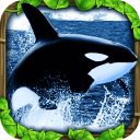 虎鲸模拟器app_虎鲸模拟器app安卓手机版免费下载_虎鲸模拟器app安卓版下载V1.0