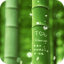 刻在竹子上的约定-宝软3D主题app  2.0